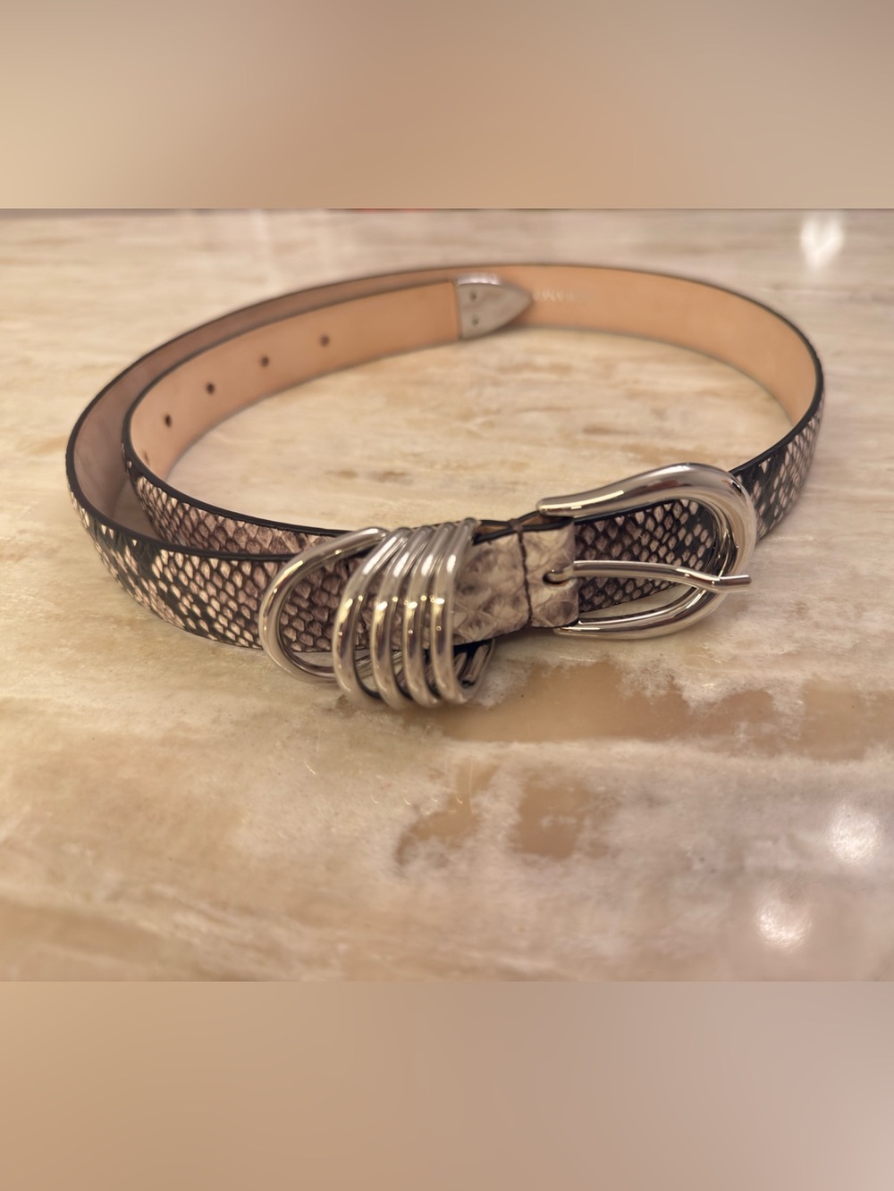 Dehanche Hollyhock Belt in Snake with Silver Hardware - Picture 4 of 13